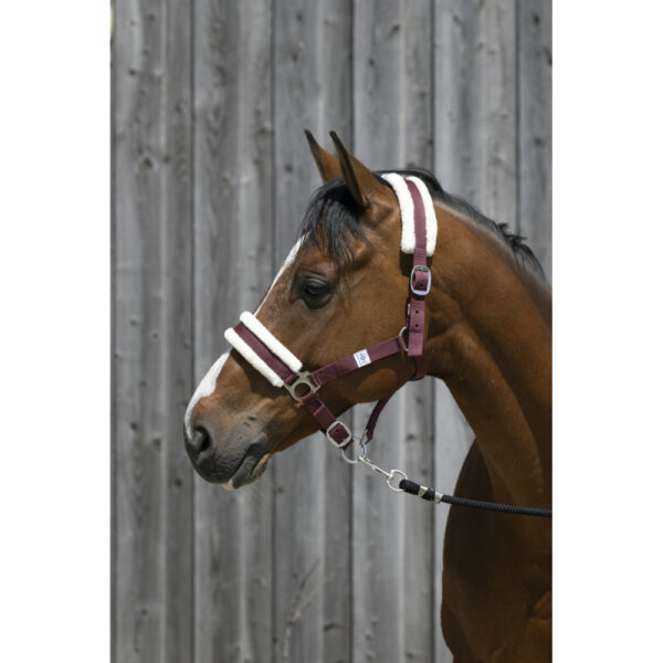 Licol Riding World mouton synthétique