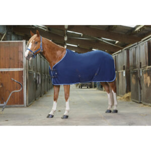Chemise Polaire Riding World