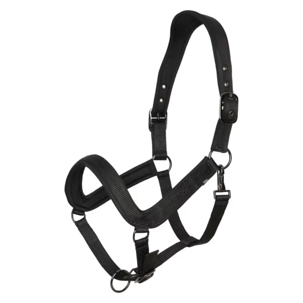 Licol Essential HV Polo