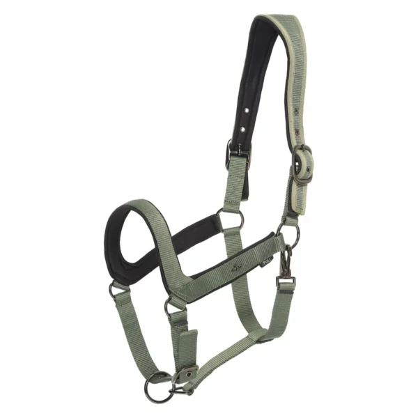 Licol Essential HV Polo