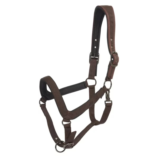 Licol Essential HV Polo