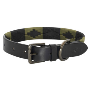 Collier chien HV Polo Chaya