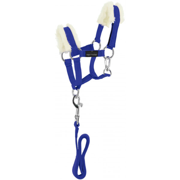 Mini-licol + Longe Pony Academy