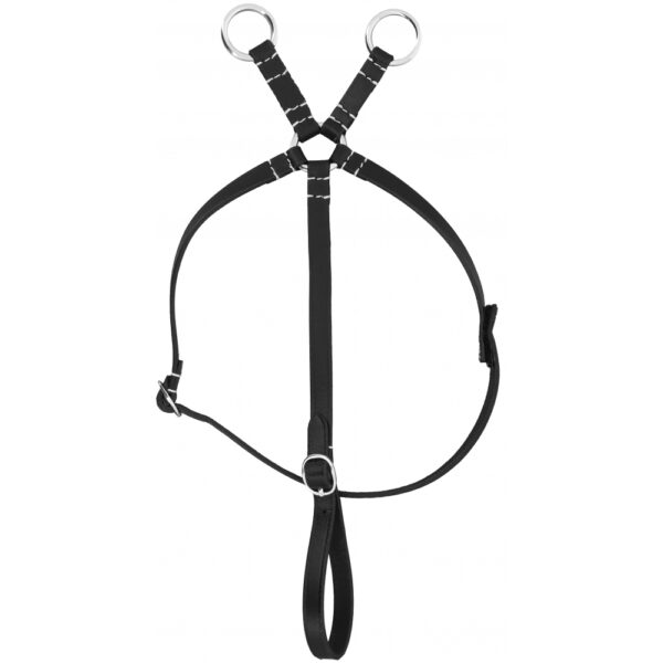 Mini martingale Pony Academy