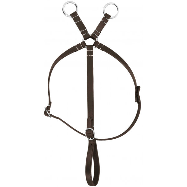 Mini martingale Pony Academy