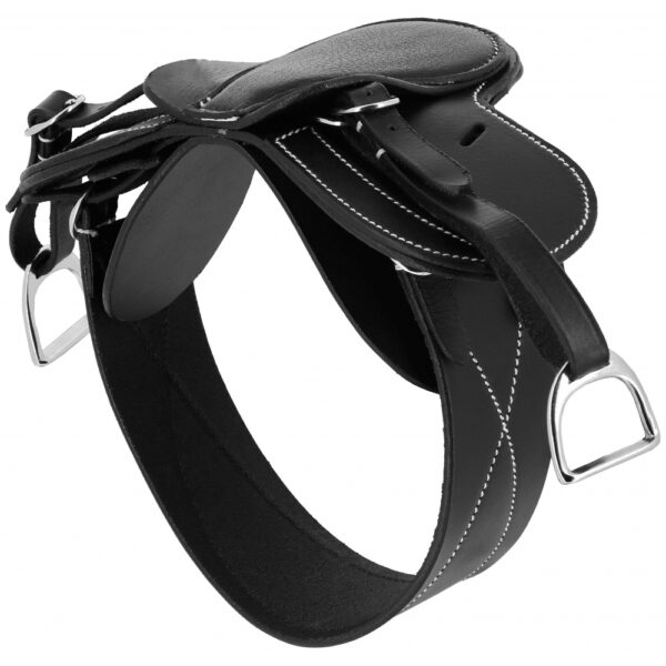 Mini-selle Pony Academy