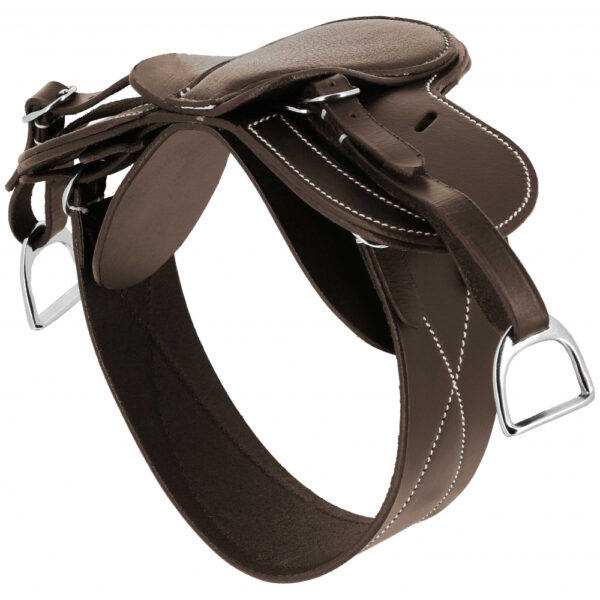 Mini-selle Pony Academy