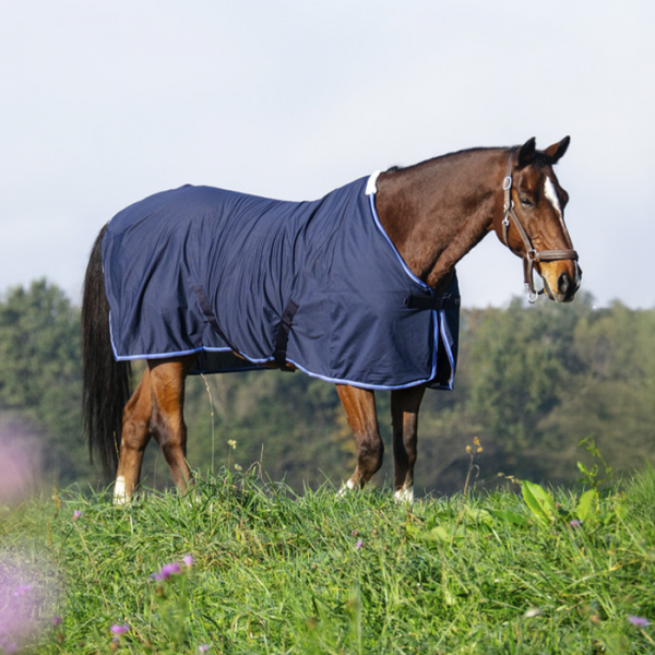 Chemise Riding World maille fine