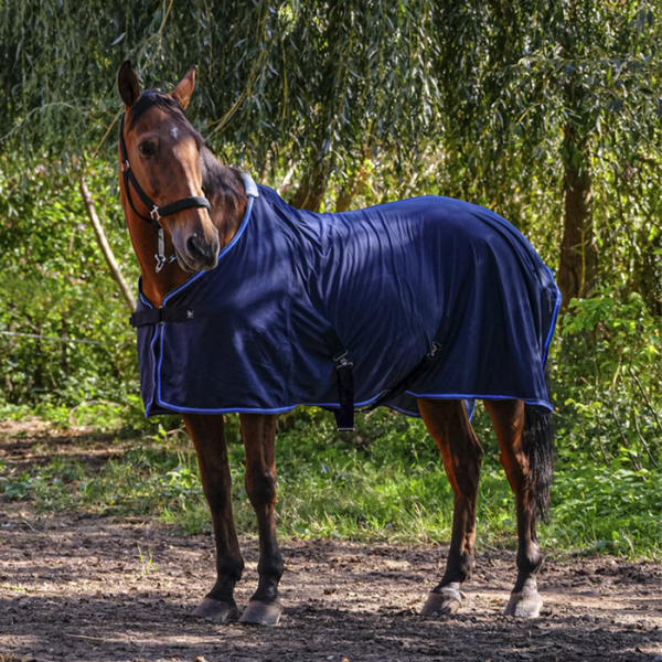 Chemise Riding World maille fine