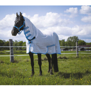 Chemise filet Riding World Combo blanc