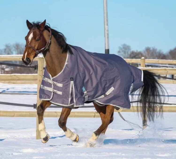 Bien choisir sa couverture