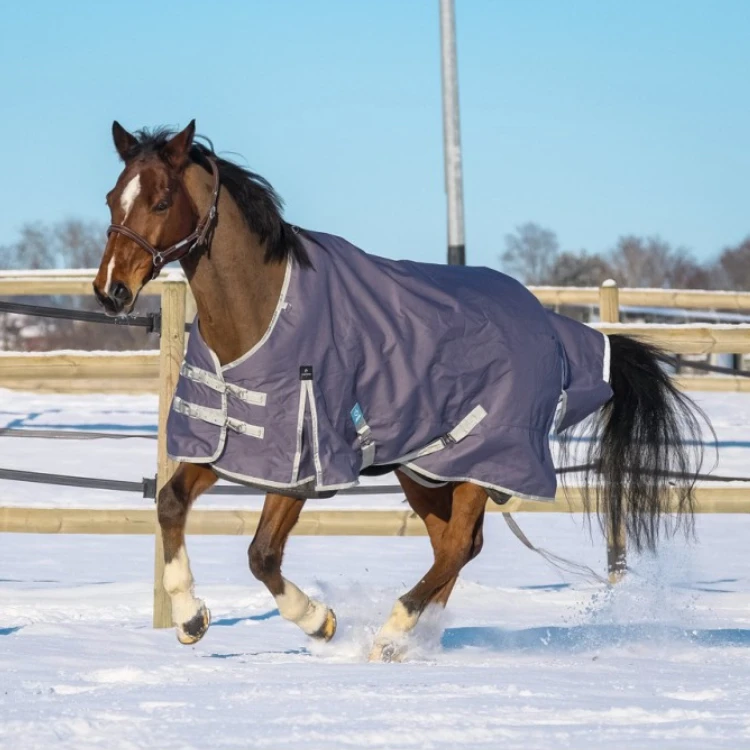 Couverture EQUITHÈME Tyrex 1200D recyclée 150 grms