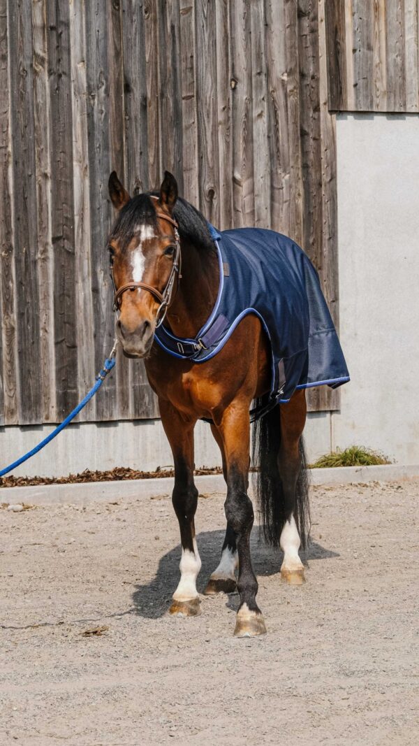 Couverture de marcheur EQUITHÈME Classic 1200D