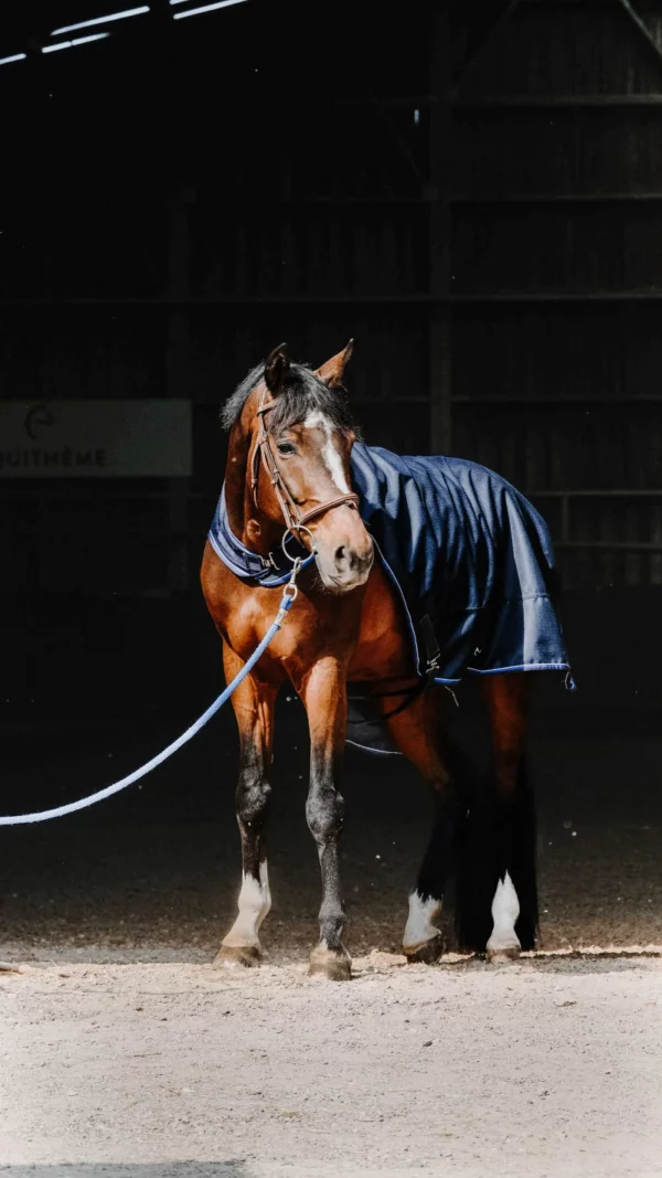Couverture de marcheur EQUITHÈME Classic 1200D
