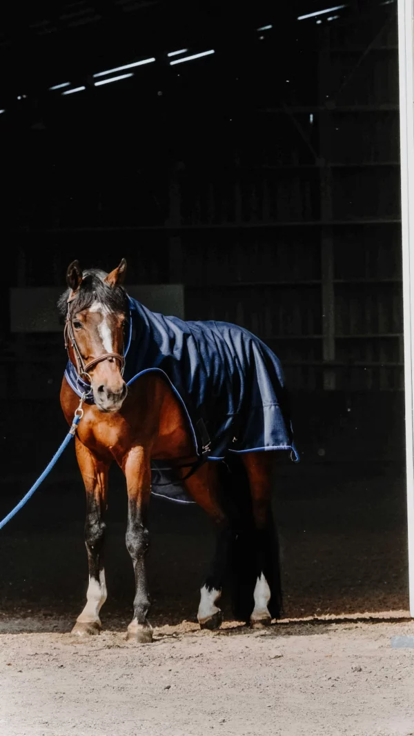 Couverture de marcheur EQUITHÈME Classic 1200D