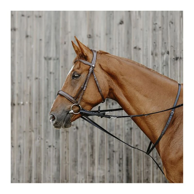 Enrênement Thiedeman Norton Pro Havane