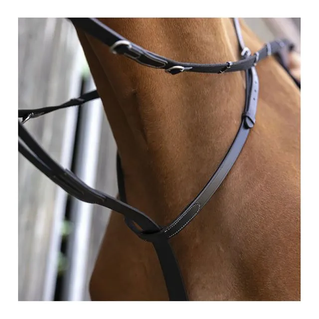 Enrênement Thiedeman Norton Pro Havane