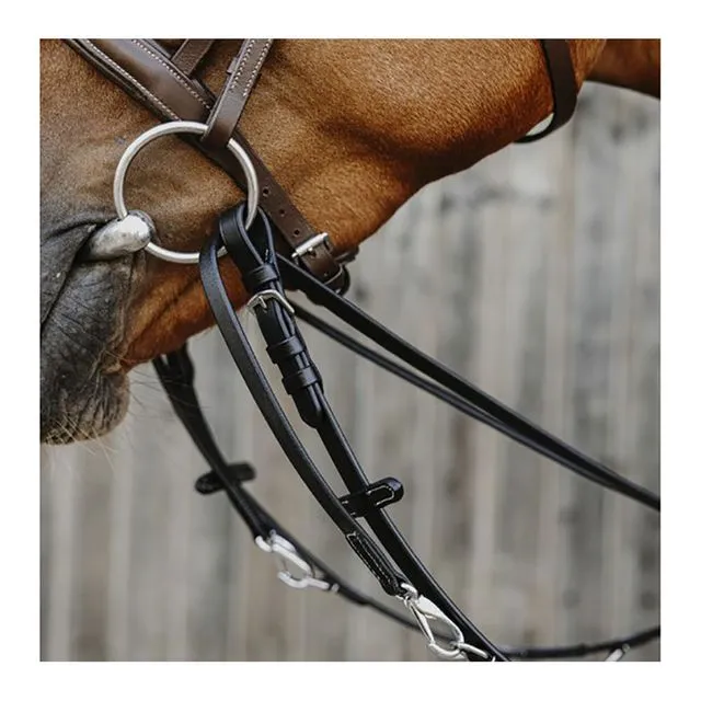 Enrênement Thiedeman Norton Pro Havane