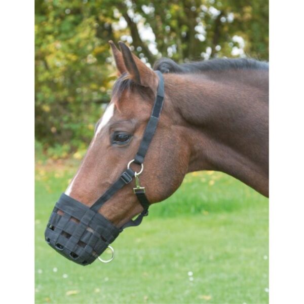 Muselière Hippotonic nylon