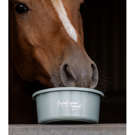 Petite écuelle avec couvercle 2 litres Waldhausen