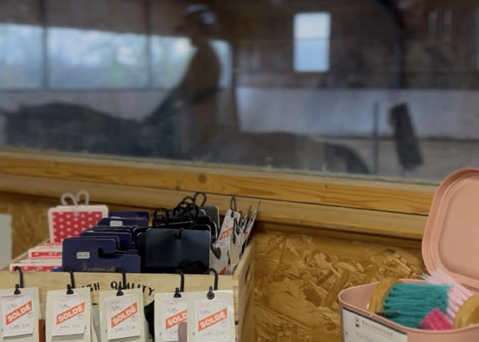 Exposition aux Ecuries des Rosières – Guérande