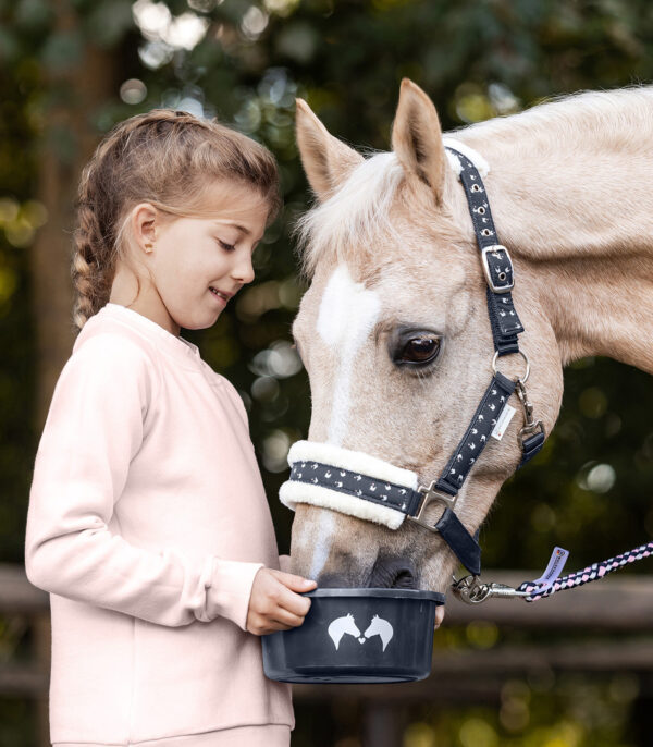 Bol à friandises Lucky avec couvercle Waldhausen