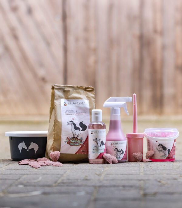 Bol à friandises Lucky avec couvercle Waldhausen