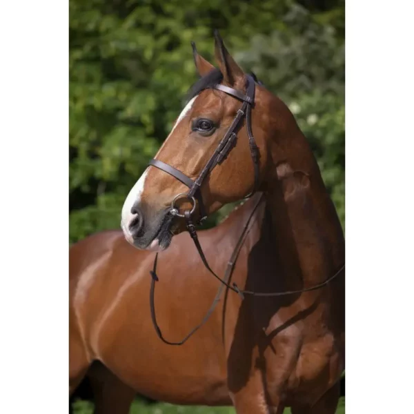 Bridon Muserolle Française havane Riding World