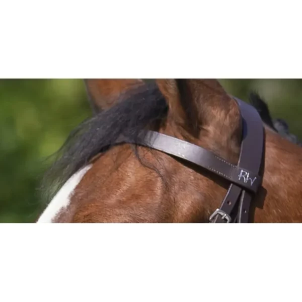 Bridon Muserolle Française havane Riding World