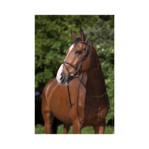 Bridon muserole Combinée havane Riding World