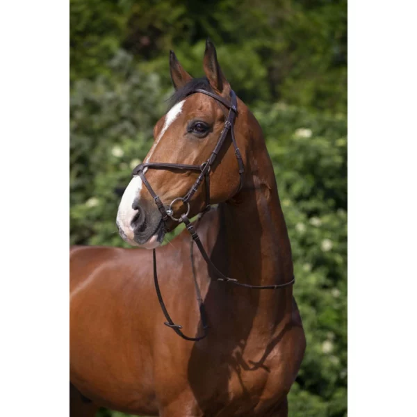 Bridon Muserole croisée havane Riding World