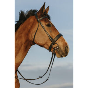 Bridon Muserolle Large noir Riding World