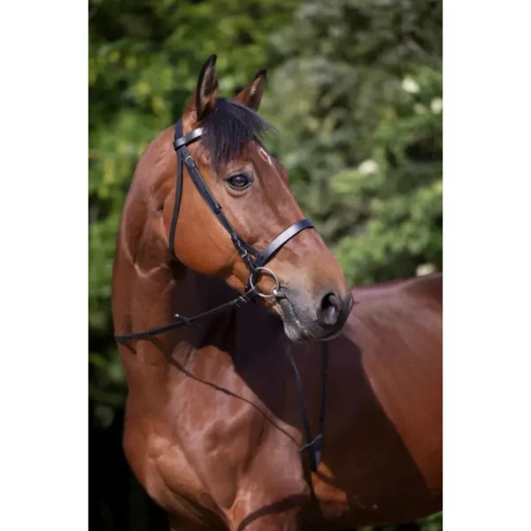 Bridon Muserolle Française noir Riding World