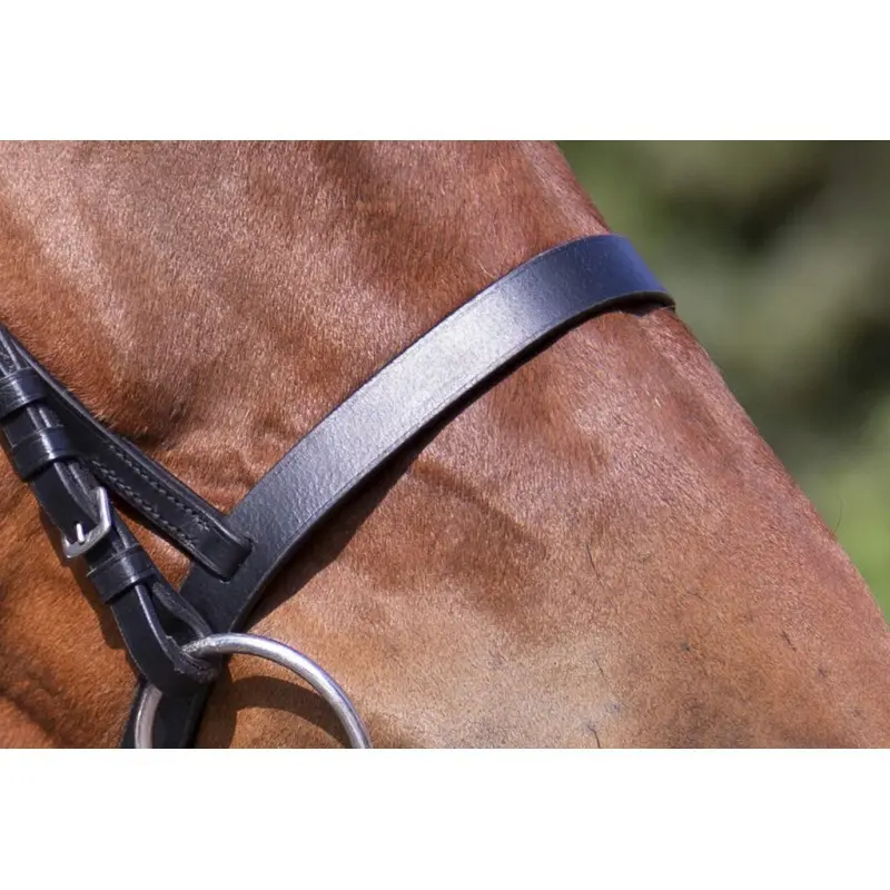 Bridon Muserolle Française noir Riding World