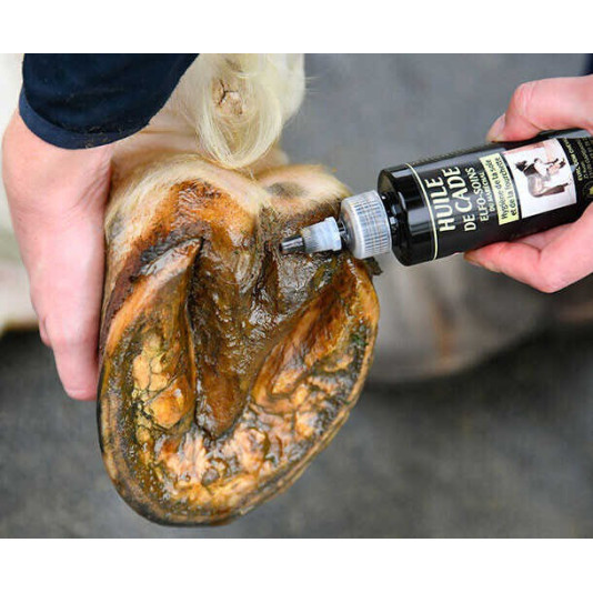 Huile de Cade Elfo-Soins du Maréchal