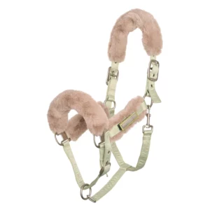 Licol classic poudré HV Polo