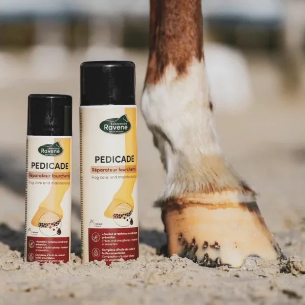 Soin réparateur Pedicade pour fourchettes Ravene