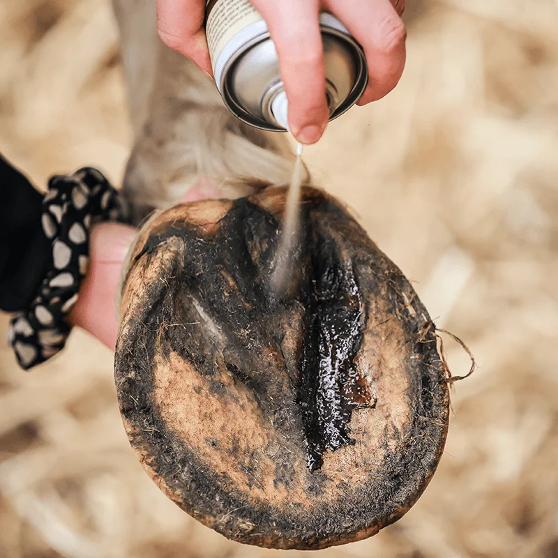 Soin réparateur Pedicade pour fourchettes Ravene