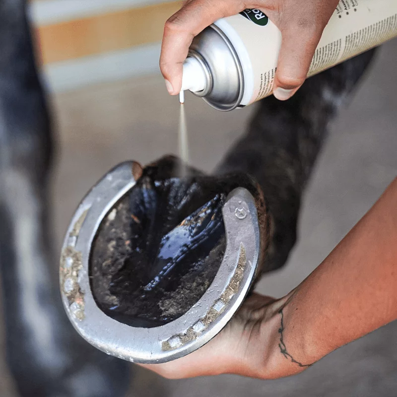 Soin réparateur Pedicade pour fourchettes Ravene