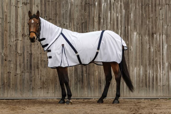 Chemise EQUITHÈME Mesh – Combo