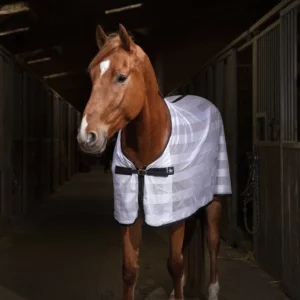 Chemise Riding World Mesh