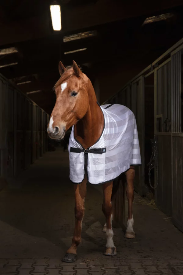 Chemise Riding World Mesh