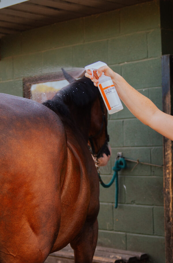 RZ Summer spray