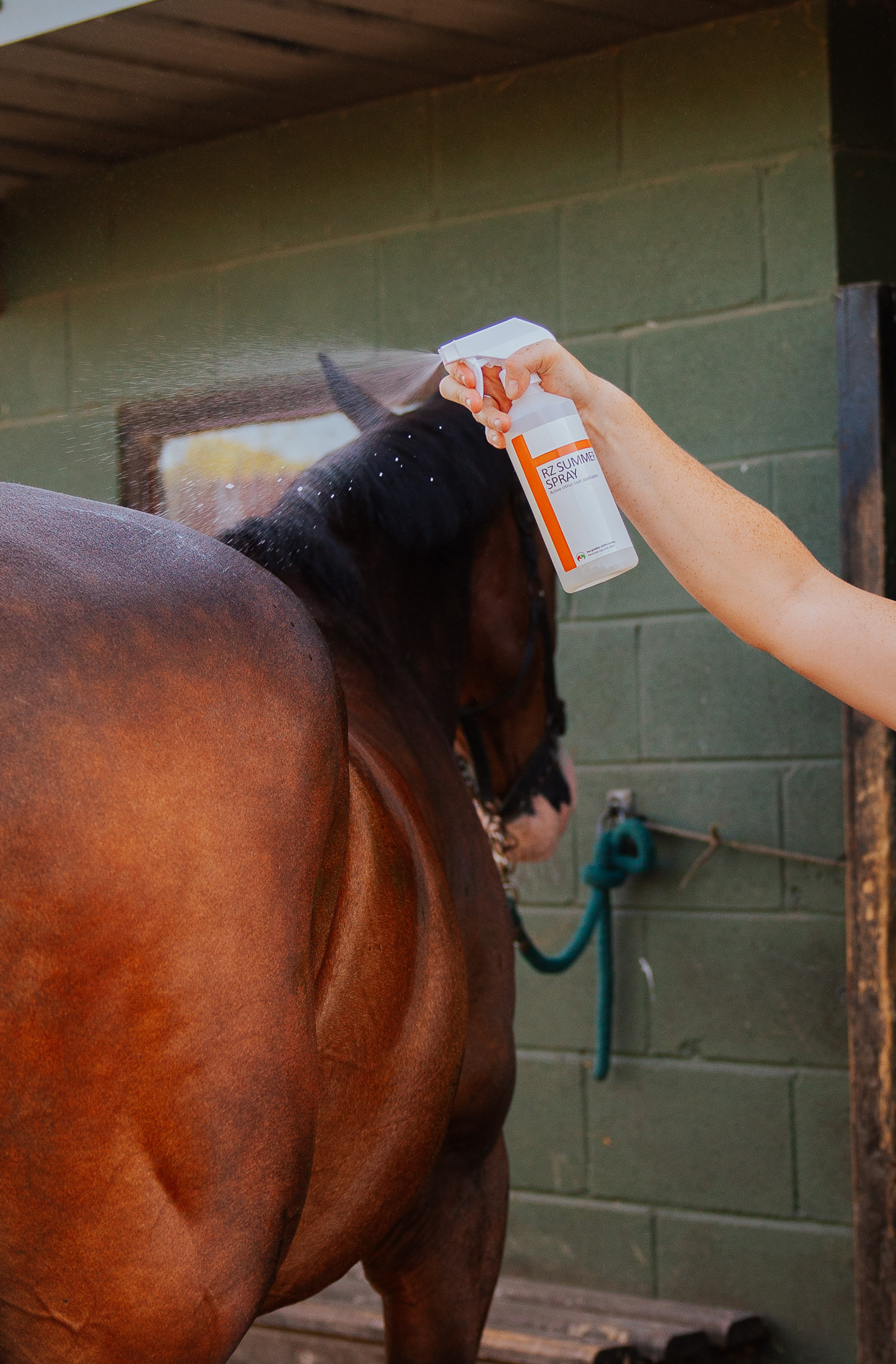 RZ Summer spray